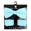 Light Blue .webp