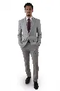Silver Gary.webp